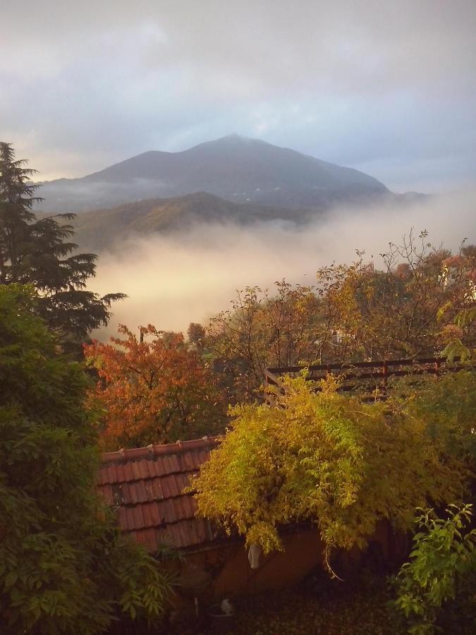 B&B Terre E Colori Sant'Olcese Exterior photo